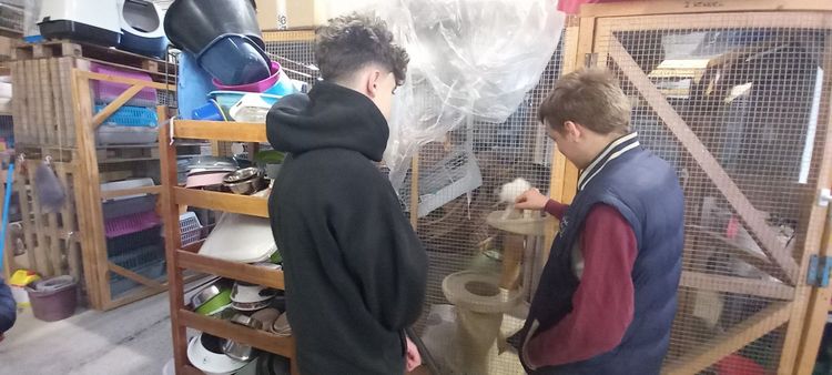 Érzékenyítés a Fekete István Állatvédő Egyesületnél