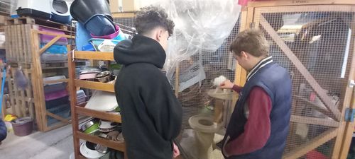 Érzékenyítés a Fekete István Állatvédő Egyesületnél